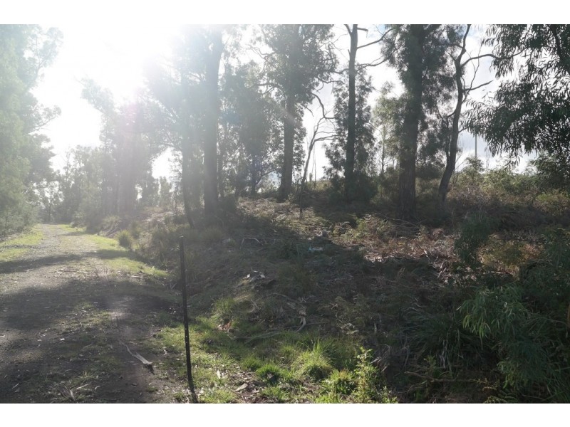 2434 Arthur Highway, Copping TAS 7174
