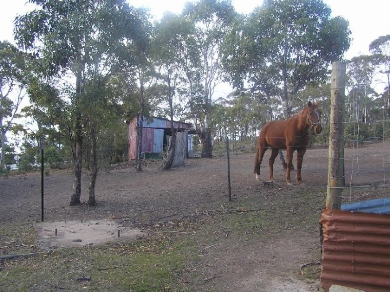5090 Tasman Highway, Runnymede TAS 7190