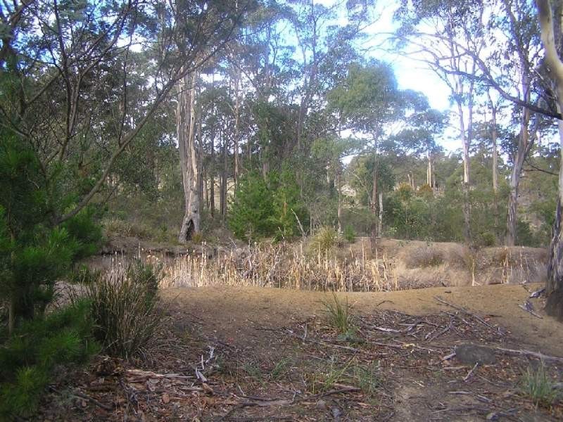 5090 Tasman Highway, Runnymede TAS 7190