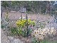 5090 Tasman Highway, Runnymede TAS 7190