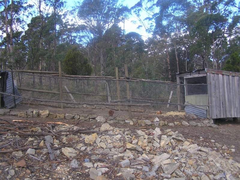 5090 Tasman Highway, Runnymede TAS 7190
