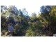 48 Skeggs Avenue, White Beach TAS 7184