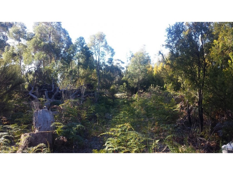 48 Skeggs Avenue, White Beach TAS 7184