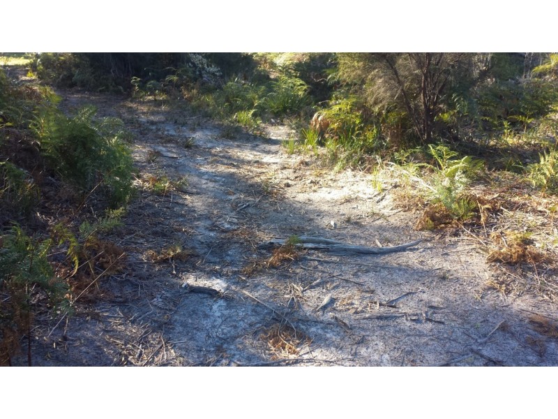 48 Skeggs Avenue, White Beach TAS 7184