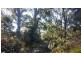 48 Skeggs Avenue, White Beach TAS 7184