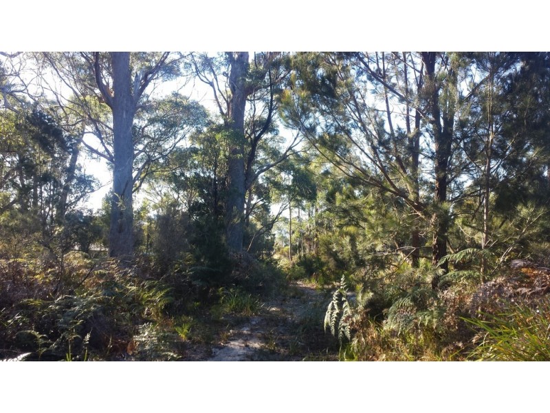 48 Skeggs Avenue, White Beach TAS 7184
