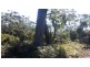 48 Skeggs Avenue, White Beach TAS 7184