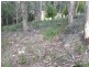 28 Mundy Court, Nubeena TAS 7184