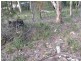 28 Mundy Court, Nubeena TAS 7184