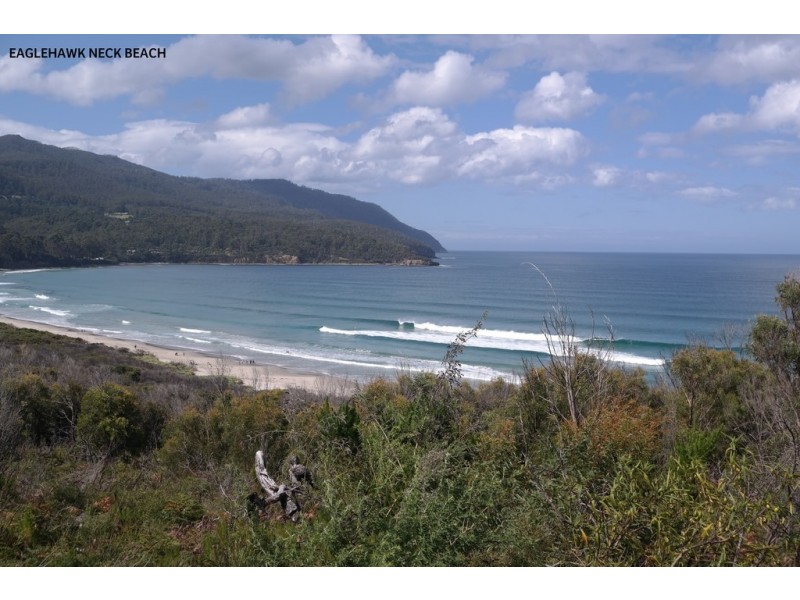10 Penzance Road, Eaglehawk Neck TAS 7179