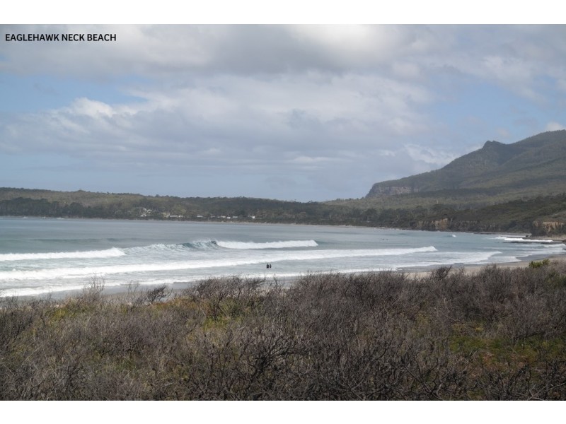 10 Penzance Road, Eaglehawk Neck TAS 7179