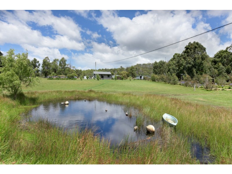 13 Dransfield Road, Copping TAS 7174