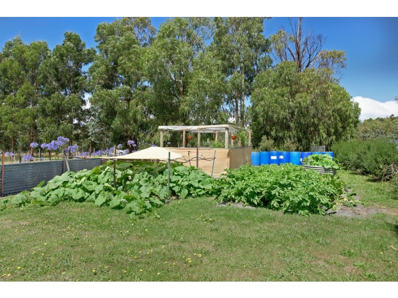 13 Dransfield Road, Copping TAS 7174