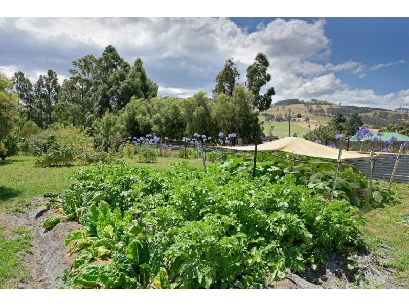 13 Dransfield Road, Copping TAS 7174