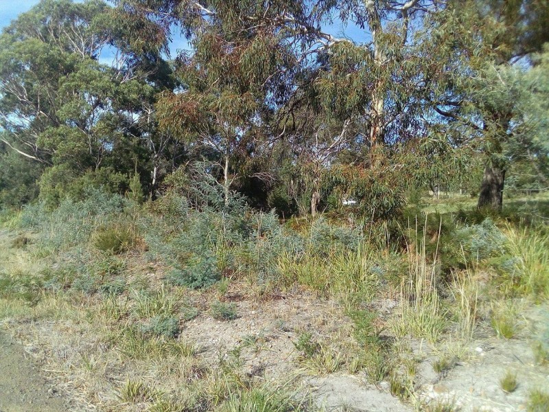 Lot 1 Dodges Hill Road, Dodges Ferry TAS 7173