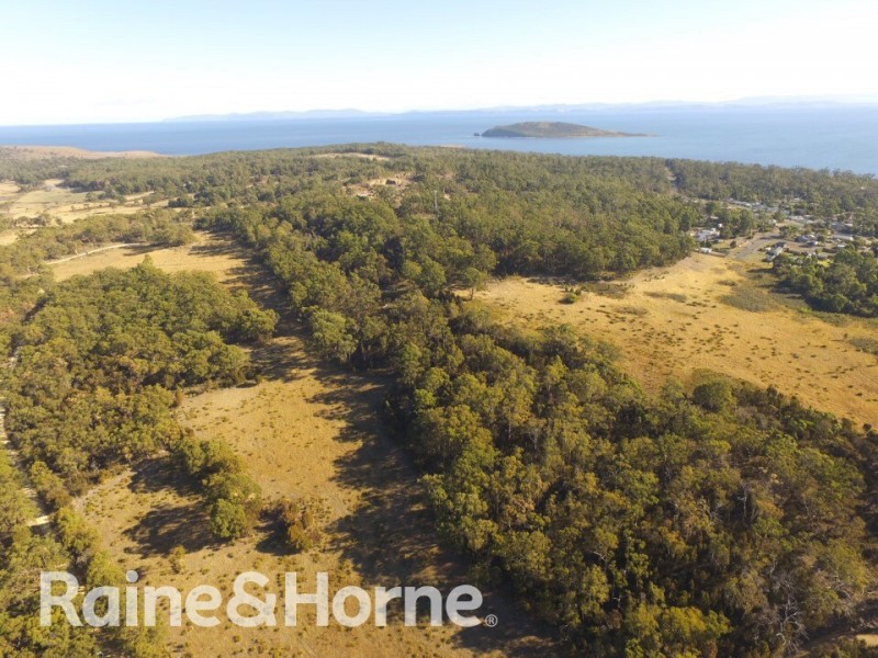 Lot 1 Noyes Road, White Beach TAS 7184