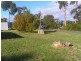 6 Oak Street, Primrose Sands TAS 7173