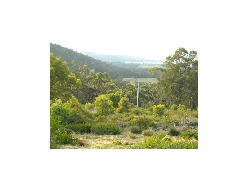 479 Hurdle Road, Saltwater River TAS 7186