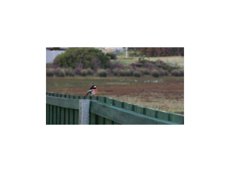 84  Tamarix Road, Primrose Sands TAS 7173