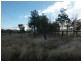 Lot 1 Tasman Highway, Orielton TAS 7172