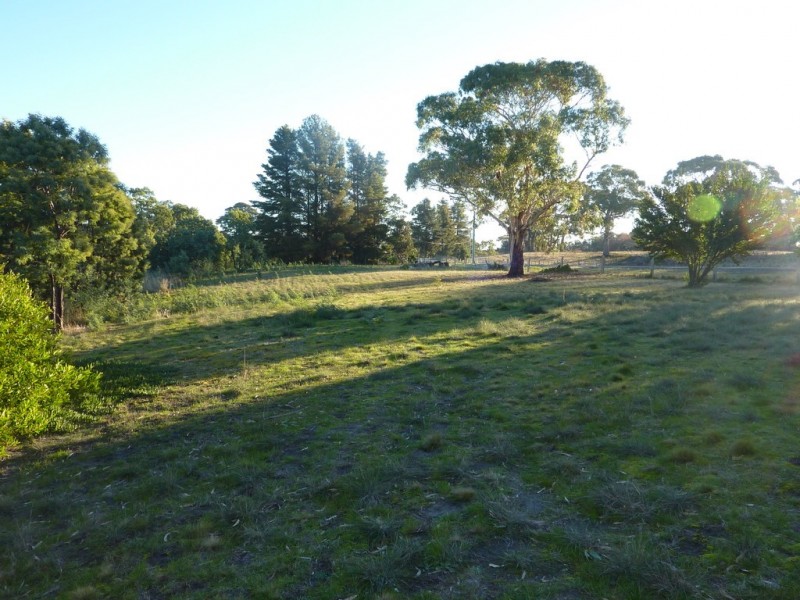 400 Carlton River Road, Carlton River TAS 7173