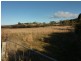 Lot 1 Pawleena Road, Sorell TAS 7172