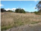 Lot 1 Tasman Highway, Orielton TAS 7172