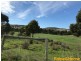 30 East Orielton Road, Orielton TAS 7172