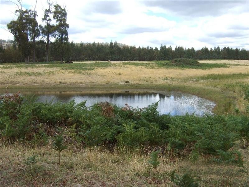 759 Tin Pot Marsh Road, Stonehenge TAS 7120