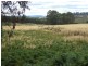 759 Tin Pot Marsh Road, Stonehenge TAS 7120