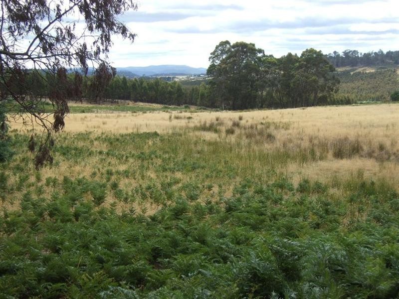 759 Tin Pot Marsh Road, Stonehenge TAS 7120