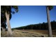 759 Tin Pot Marsh Road, Stonehenge TAS 7120