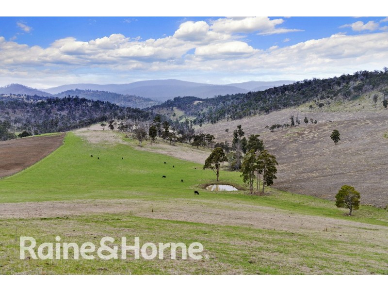 5060 Tasman Highway, Buckland TAS 7190