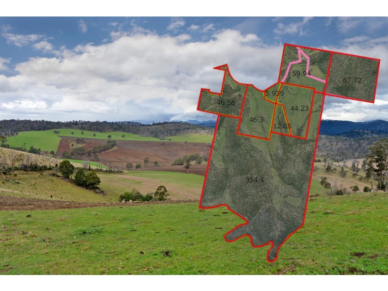 5060 Tasman Highway, Buckland TAS 7190