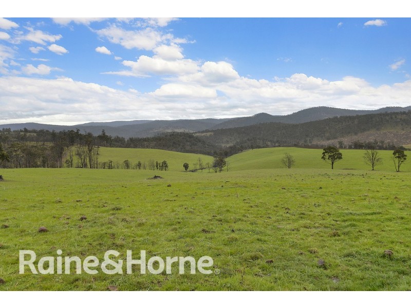 5060 Tasman Highway, Buckland TAS 7190