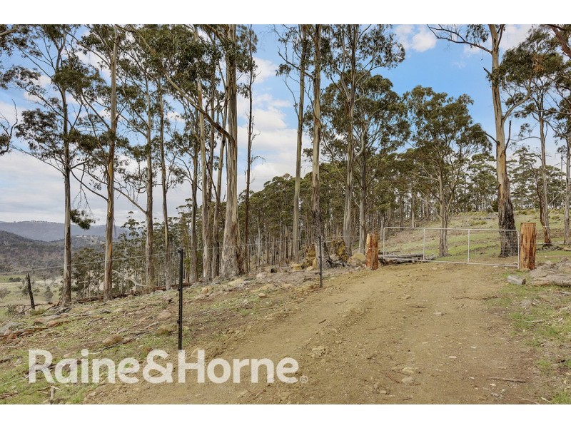 5060 Tasman Highway, Buckland TAS 7190