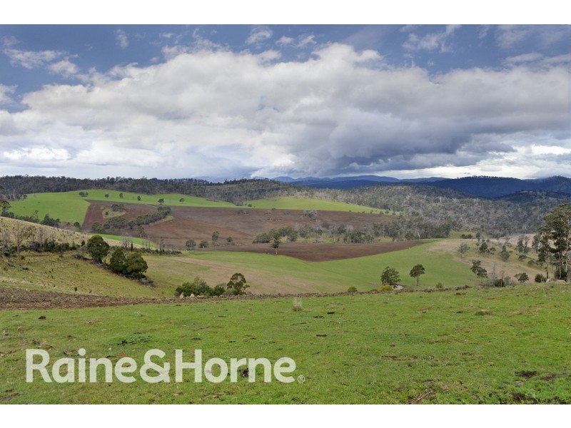 5060 Tasman Highway, Buckland TAS 7190