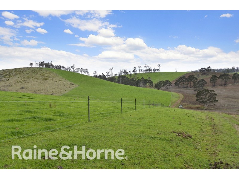 5060 Tasman Highway, Buckland TAS 7190