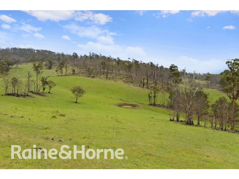 5060 Tasman Highway, Buckland TAS 7190