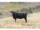 5060 Tasman Highway, Buckland TAS 7190