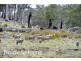 5060 Tasman Highway, Buckland TAS 7190