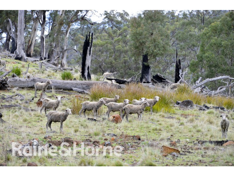 5060 Tasman Highway, Buckland TAS 7190