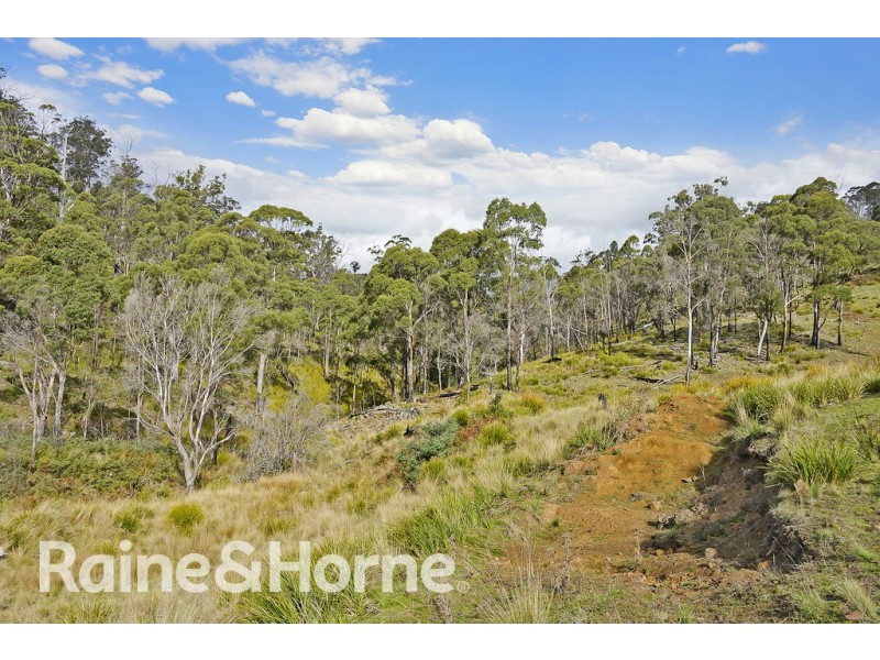 5060 Tasman Highway, Buckland TAS 7190