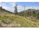 5060 Tasman Highway, Buckland TAS 7190