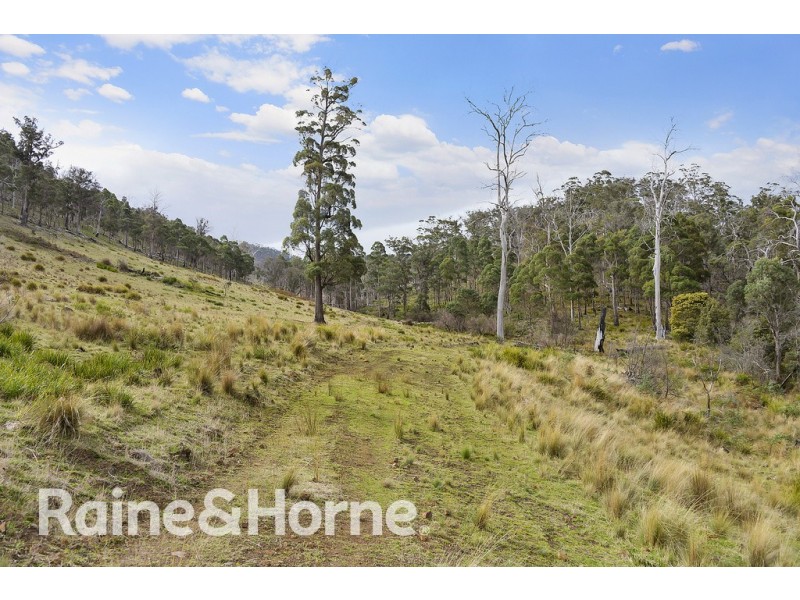 5060 Tasman Highway, Buckland TAS 7190