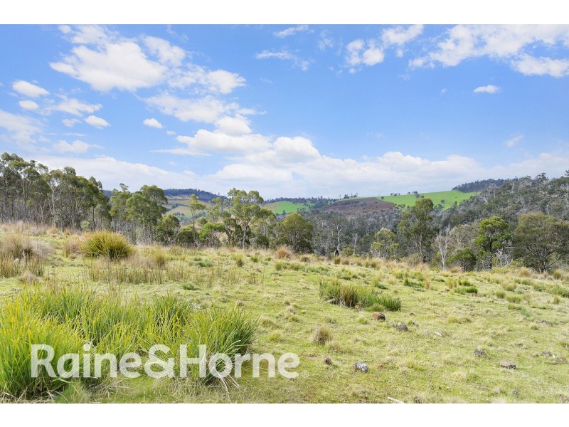 5060 Tasman Highway, Buckland TAS 7190