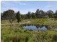 5060 Tasman Highway, Buckland TAS 7190