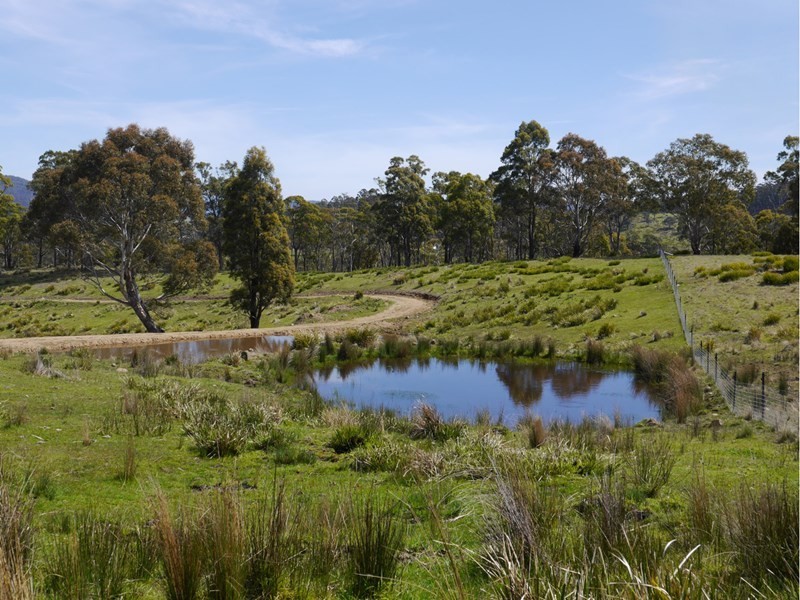 5060 Tasman Highway, Buckland TAS 7190