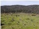 5060 Tasman Highway, Buckland TAS 7190