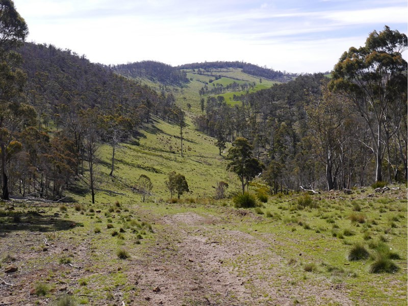 5060 Tasman Highway, Buckland TAS 7190